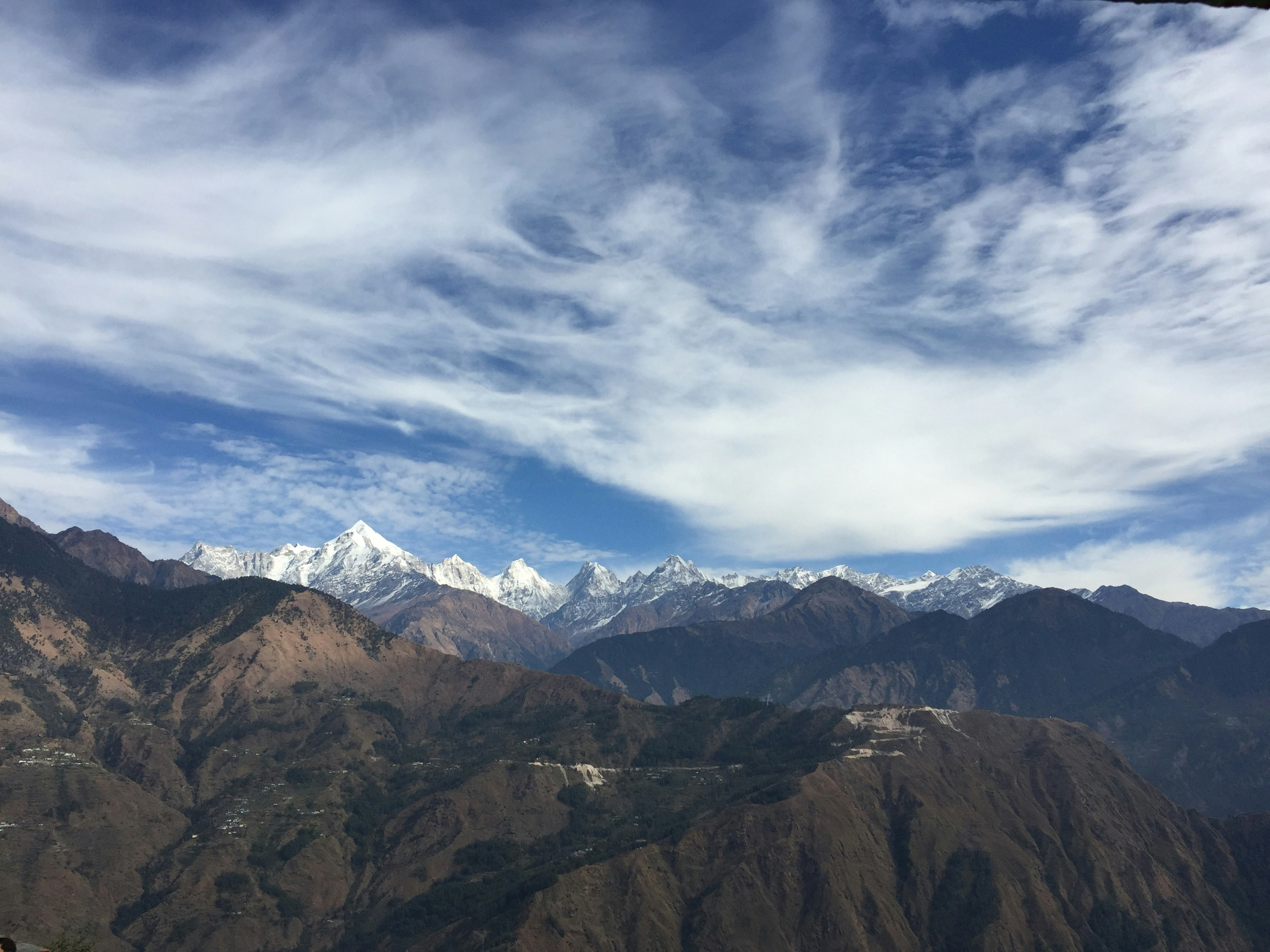 Photo by thehimalayanpanda