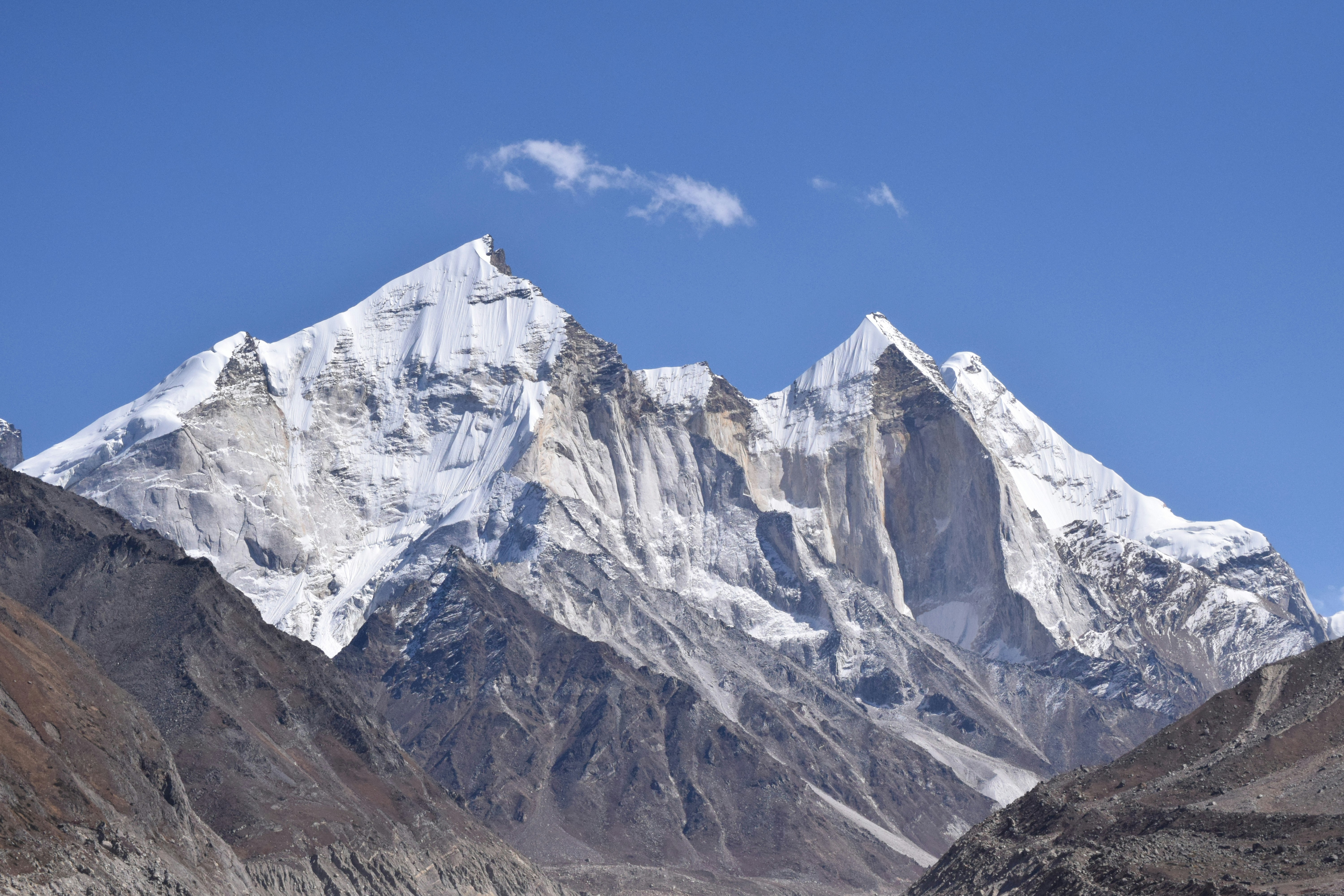 Photo by thehimalayanpanda