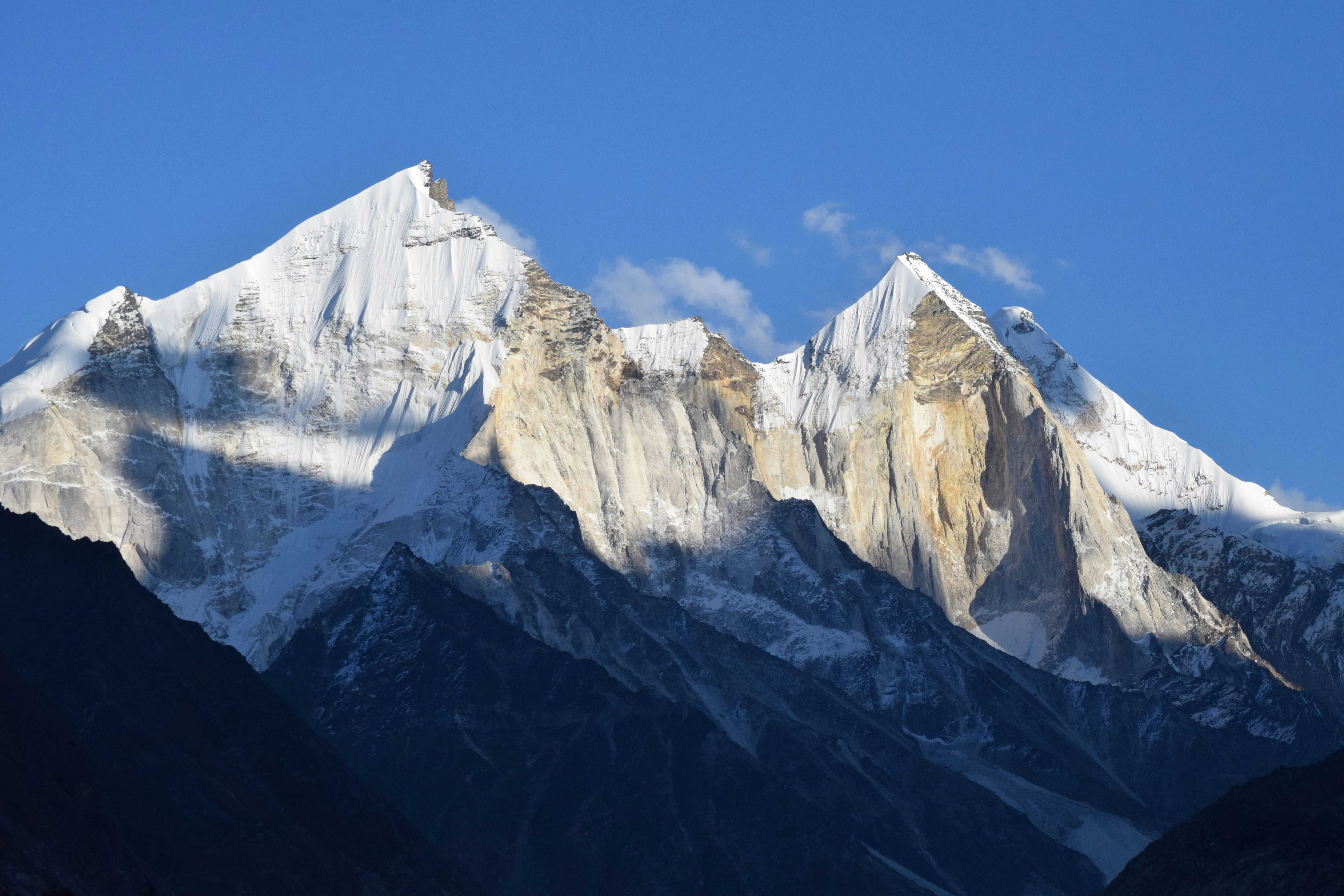 Photo by thehimalayanpanda