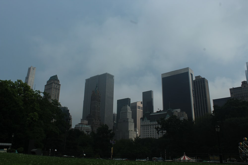 a city skyline with trees and grass