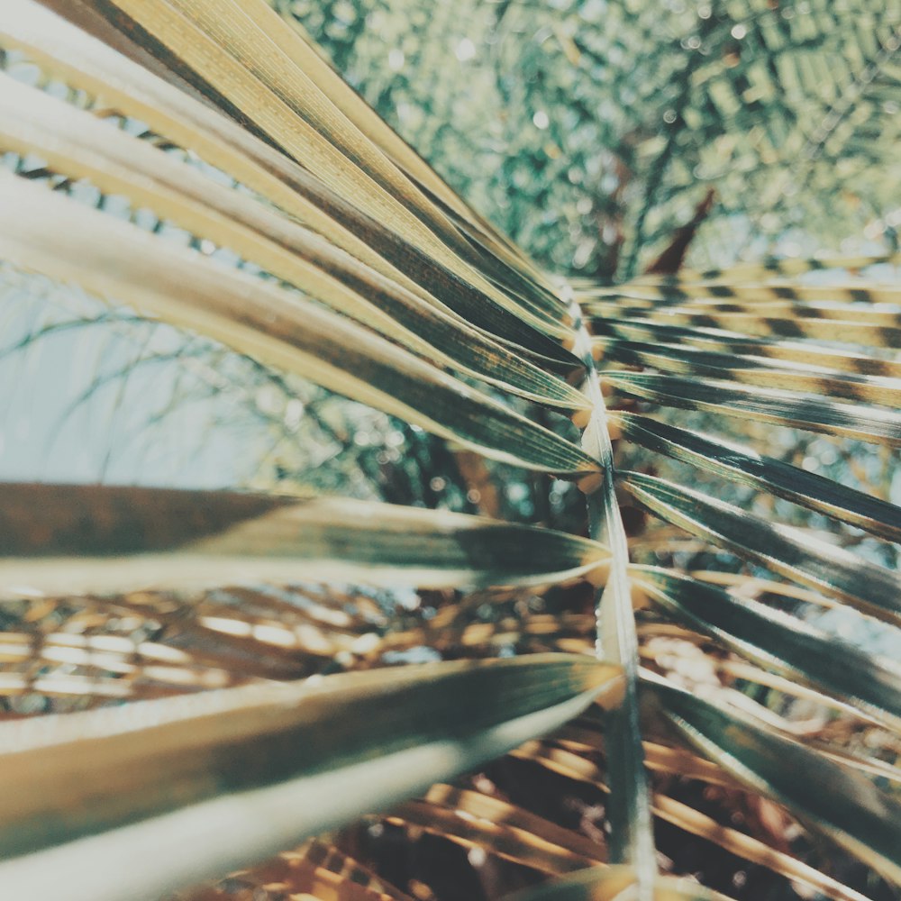 a close-up of a broken umbrella