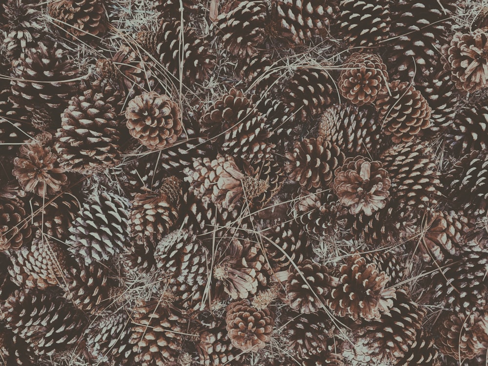 background pattern