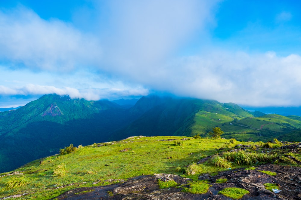 a grassy valley with mountains in the background