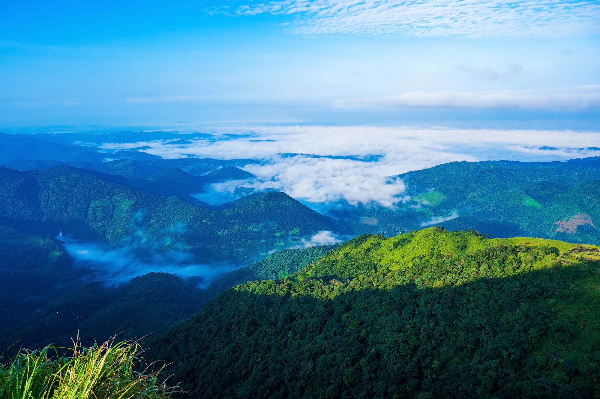 A sea of white cloud filling the valleys below a forested ridge