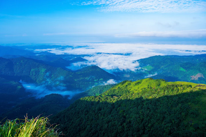 Forested ridges with mist lying in the valley below