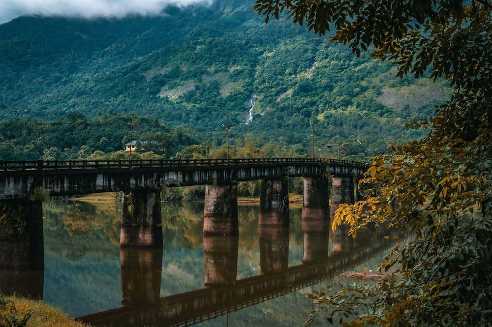 a bridge over a river