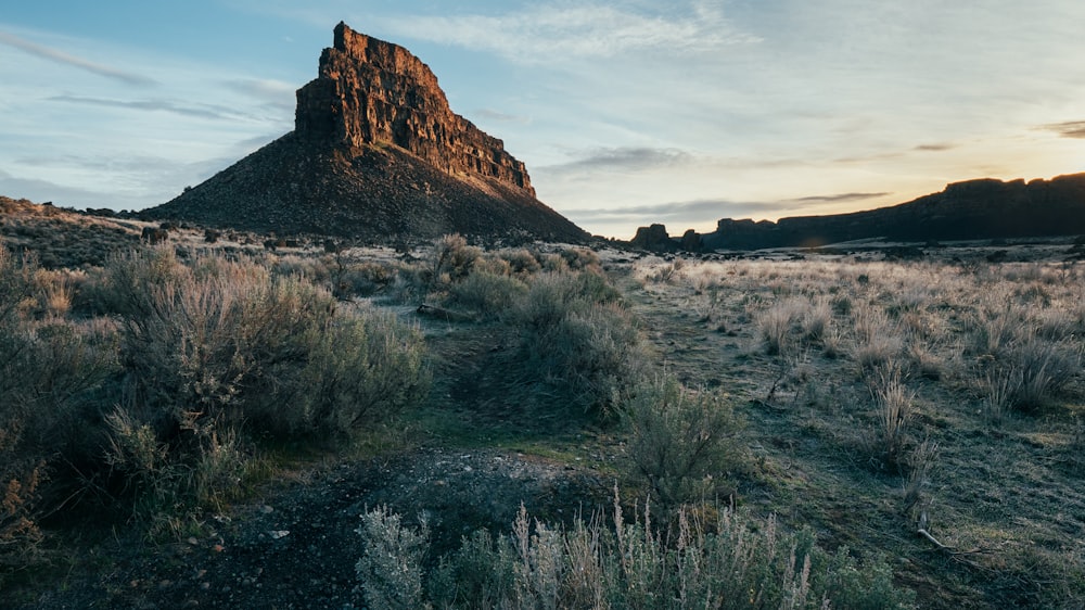 a rocky mountain with a valley below