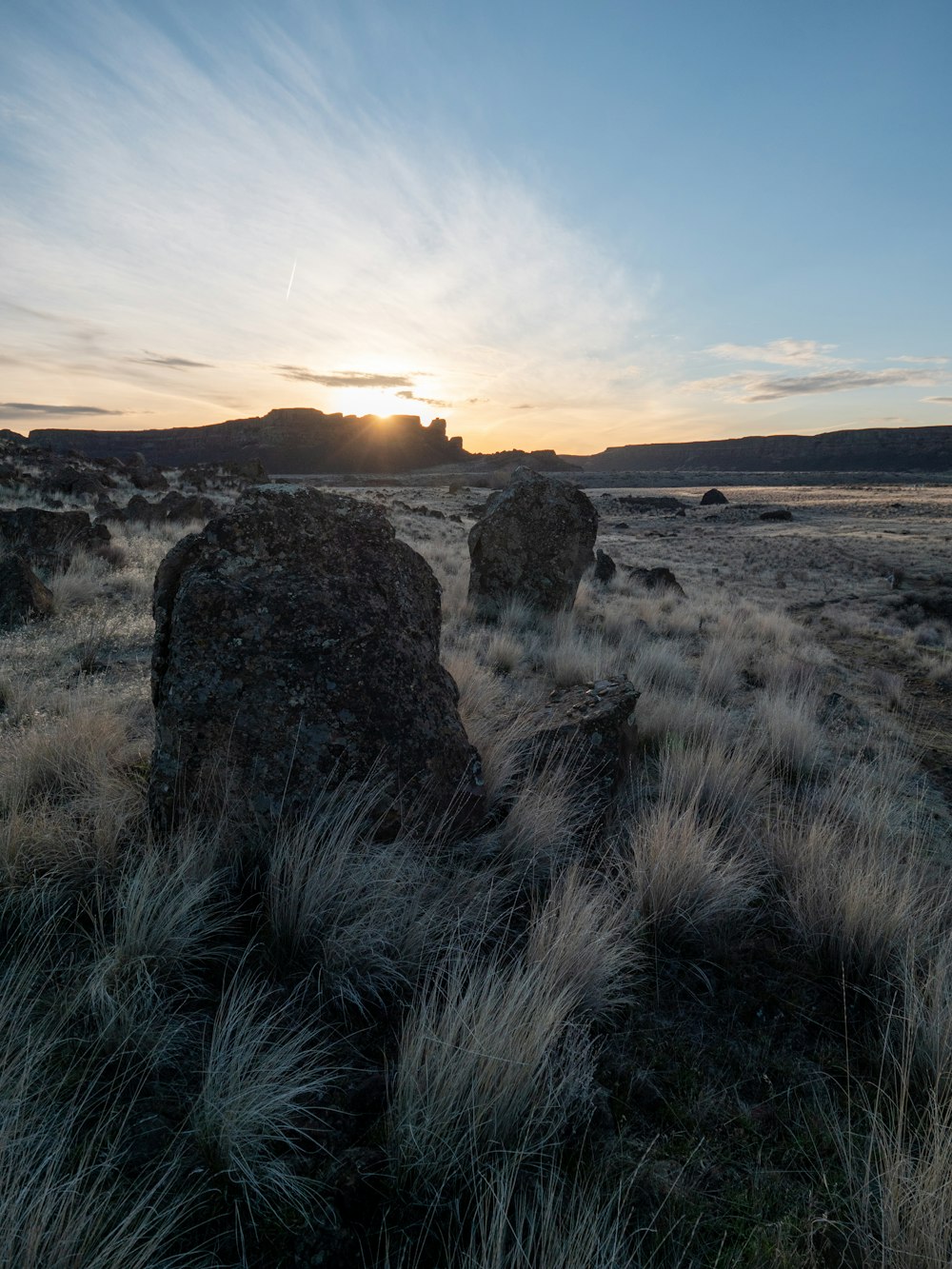 a field of grass with rocks in the background