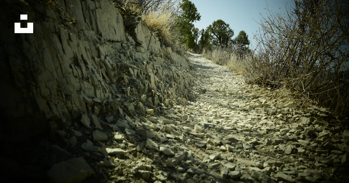 A rocky path with trees on the side photo – Free Colorado springs Image ...