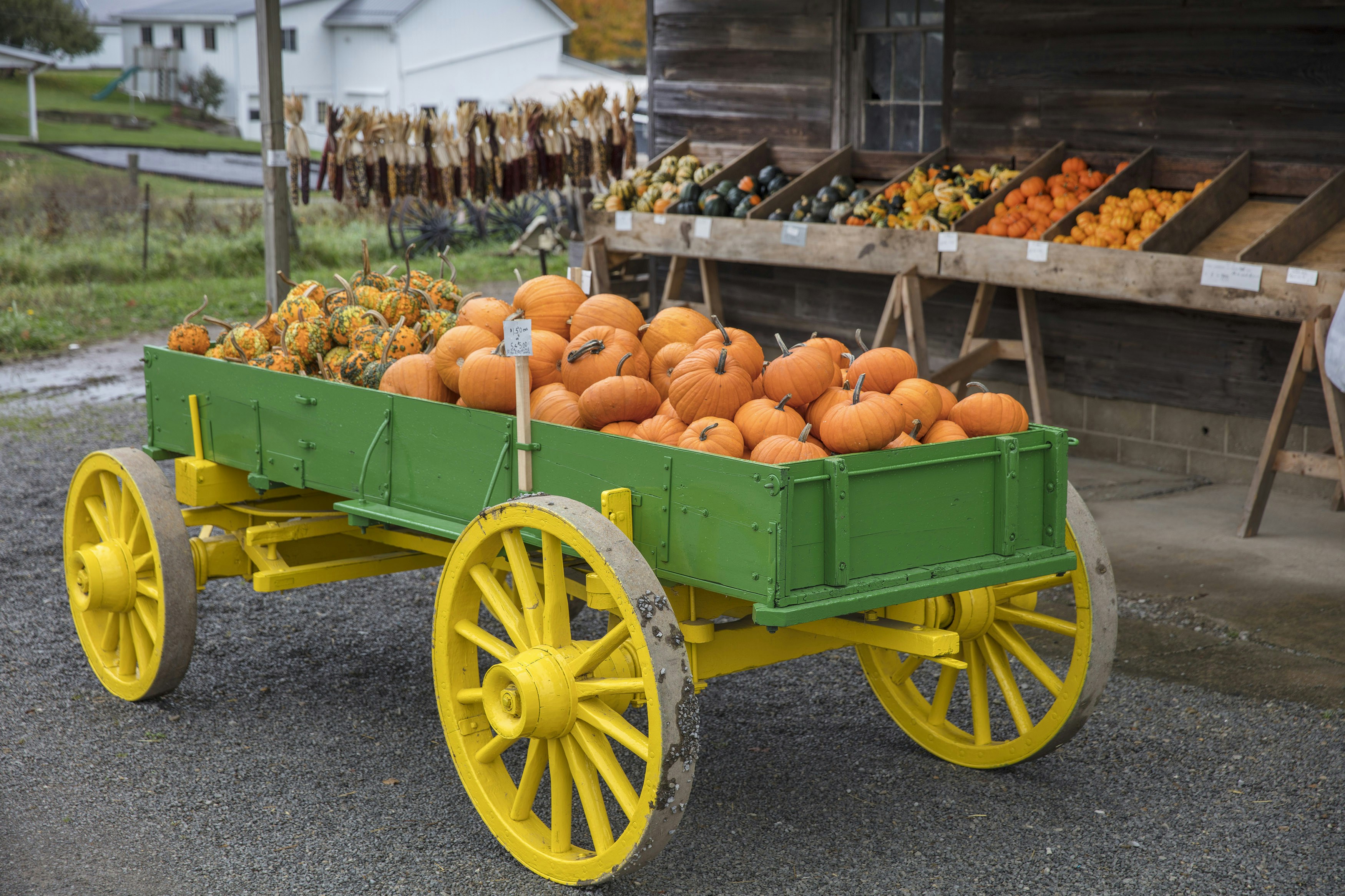 a cart full of pumpkins