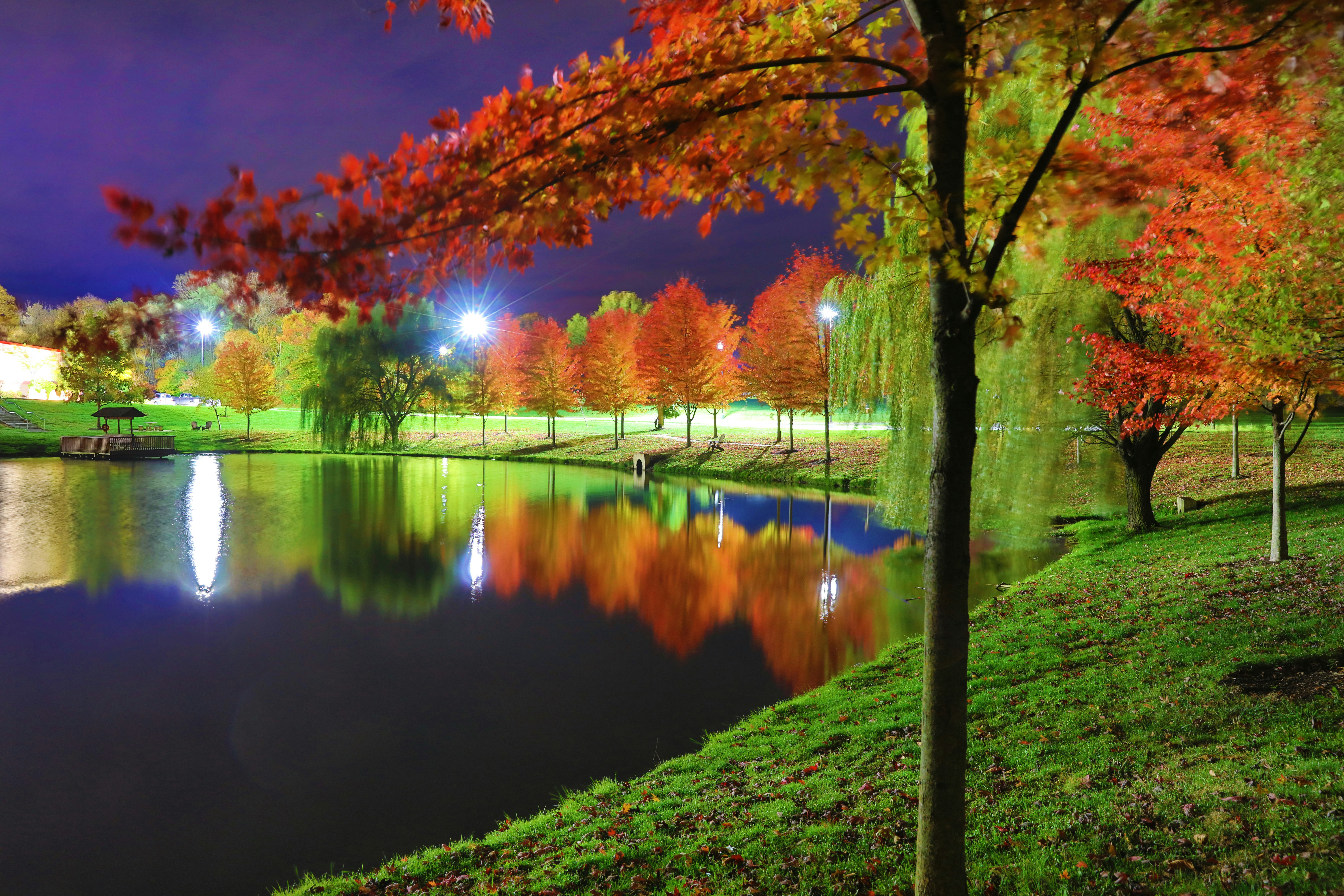a body of water with trees around it and grass around it