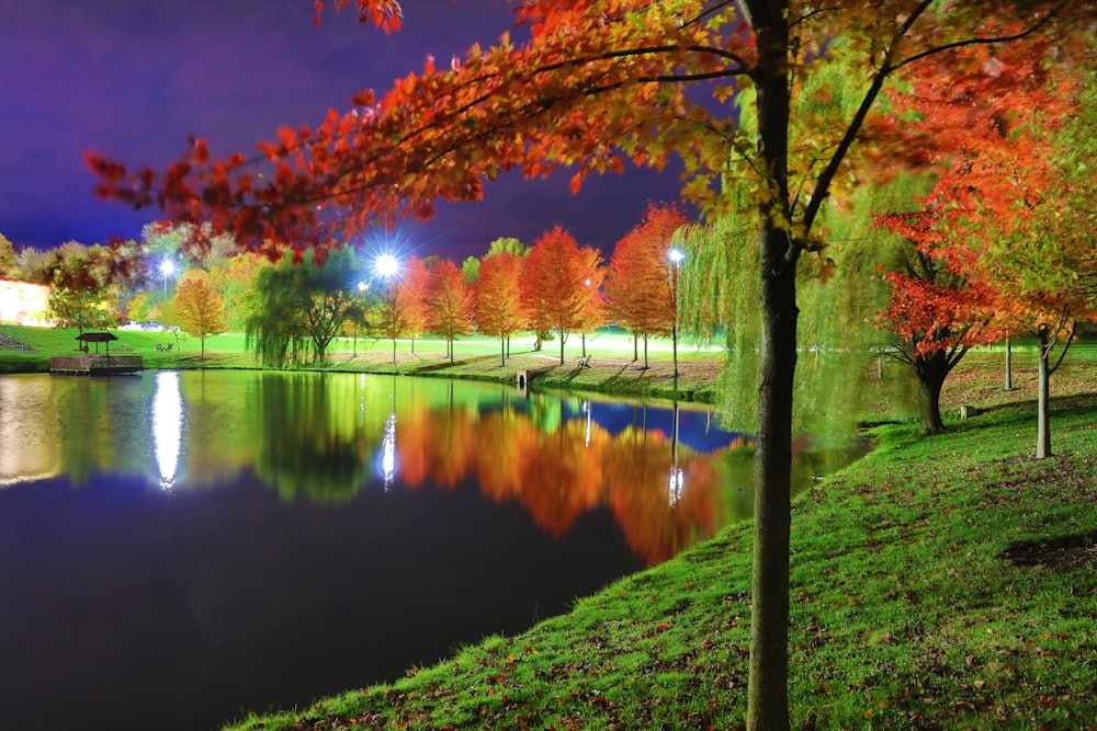 a body of water with trees around it and grass around it