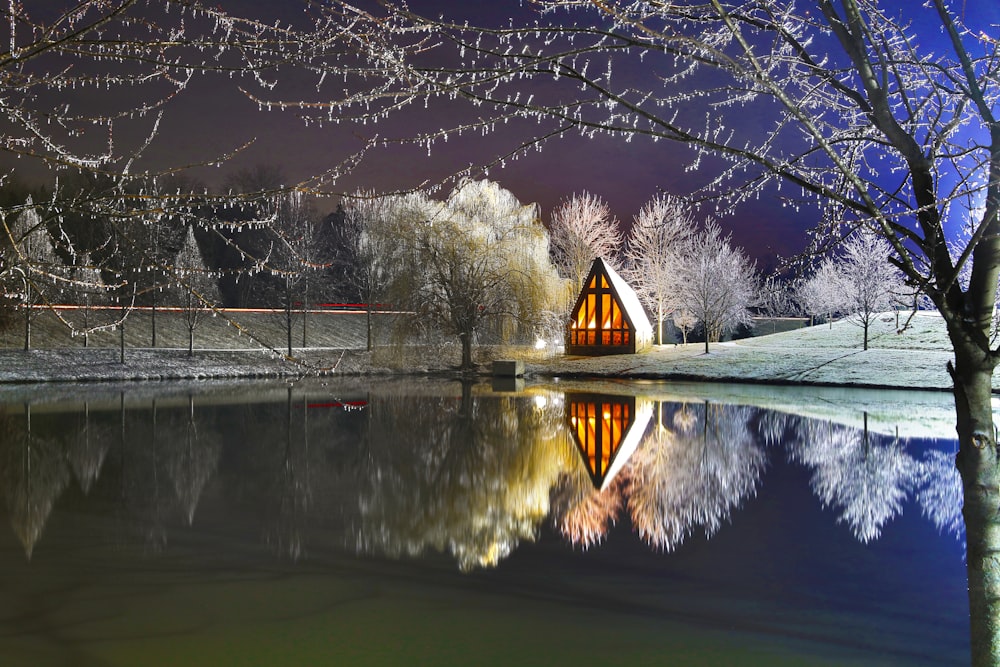 a body of water with trees around it