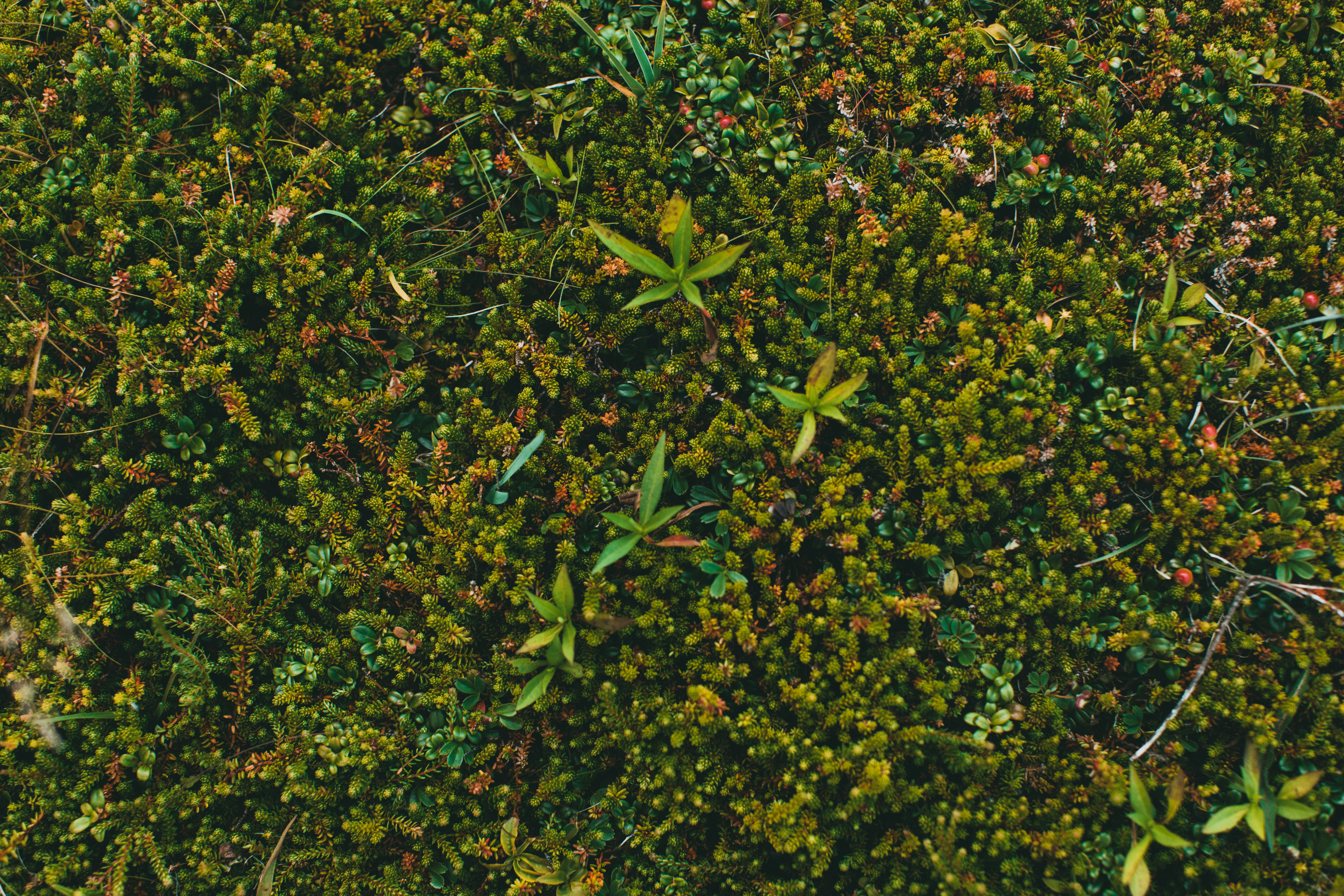 Photo by theshuttervision