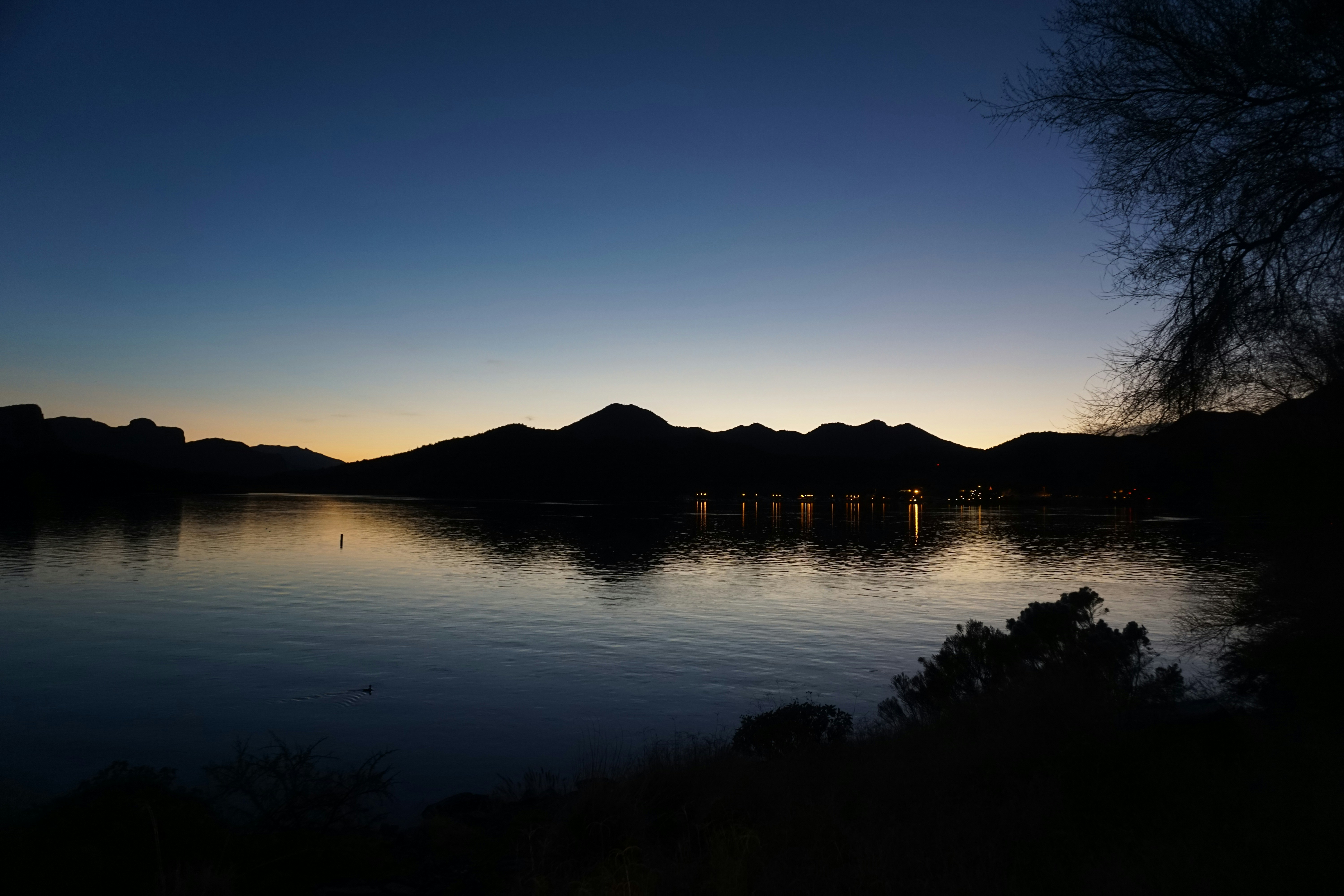Photo by dharmicspruce
