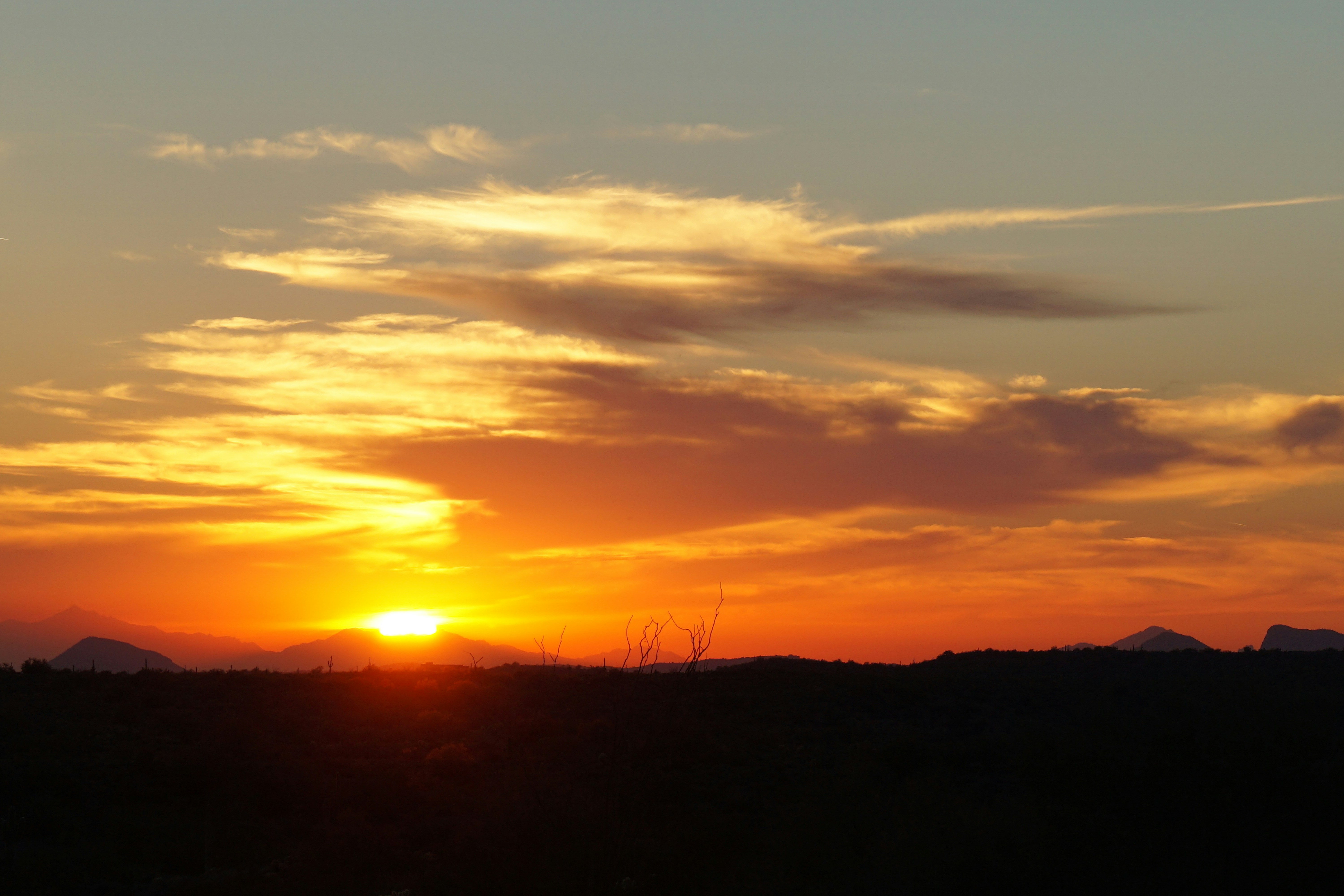 Photo by dharmicspruce