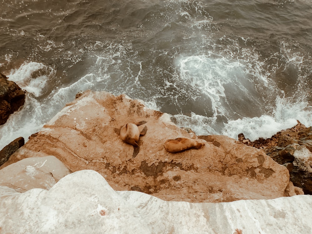 a rocky beach with waves crashing