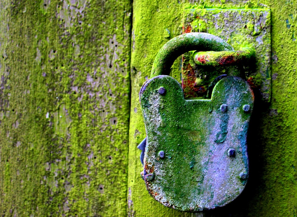 Un serpente verde su un albero