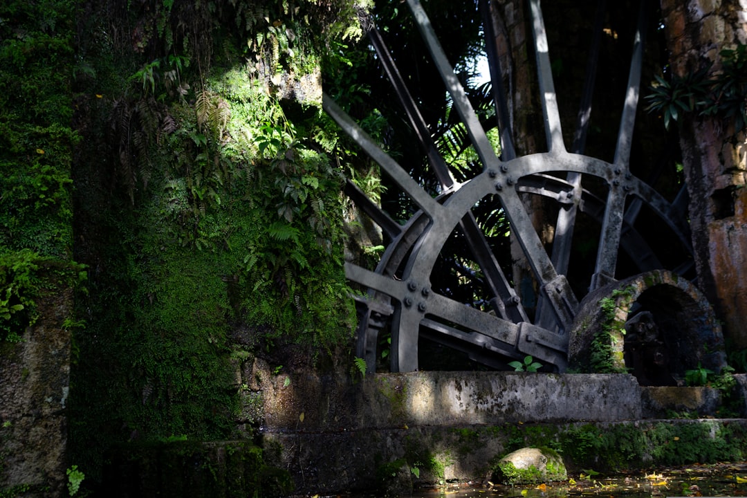 a bridge over a river, Tryall Water Wheel