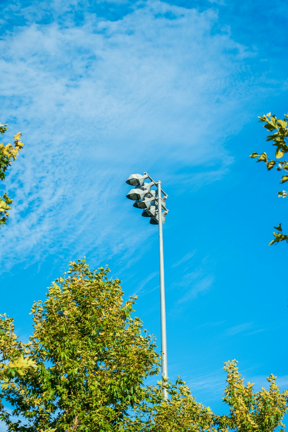 a pole with a light pole and trees in the background