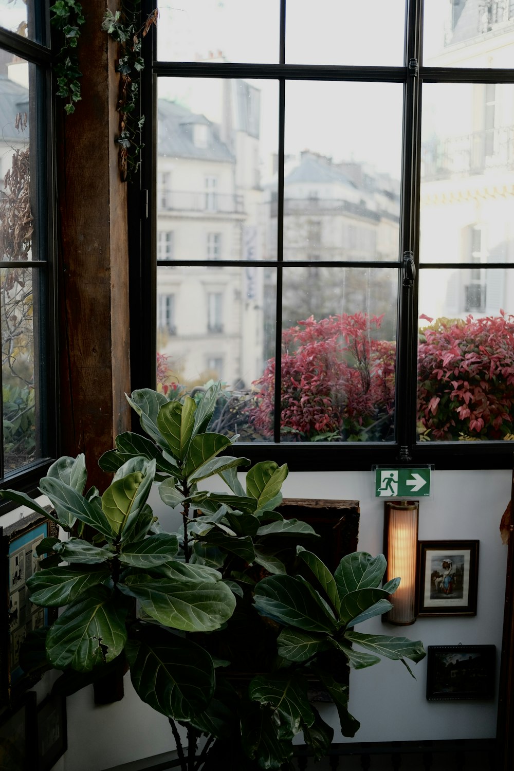 a window with a view of a snowy mountain and a street