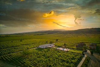 a landscape with buildings and trees