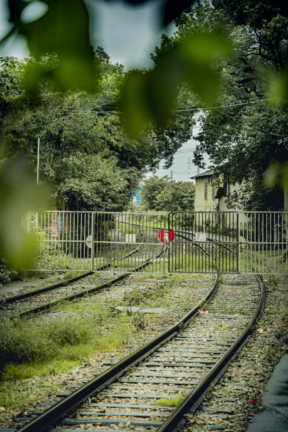 a train track with trees and a fence around it