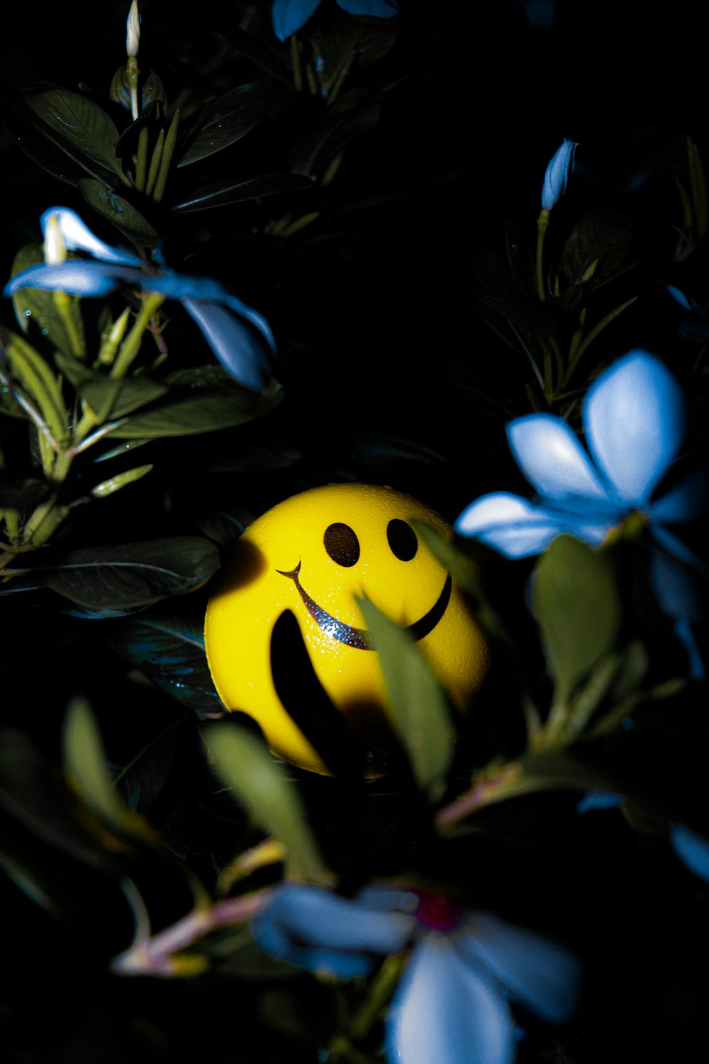 a yellow frog in a plant