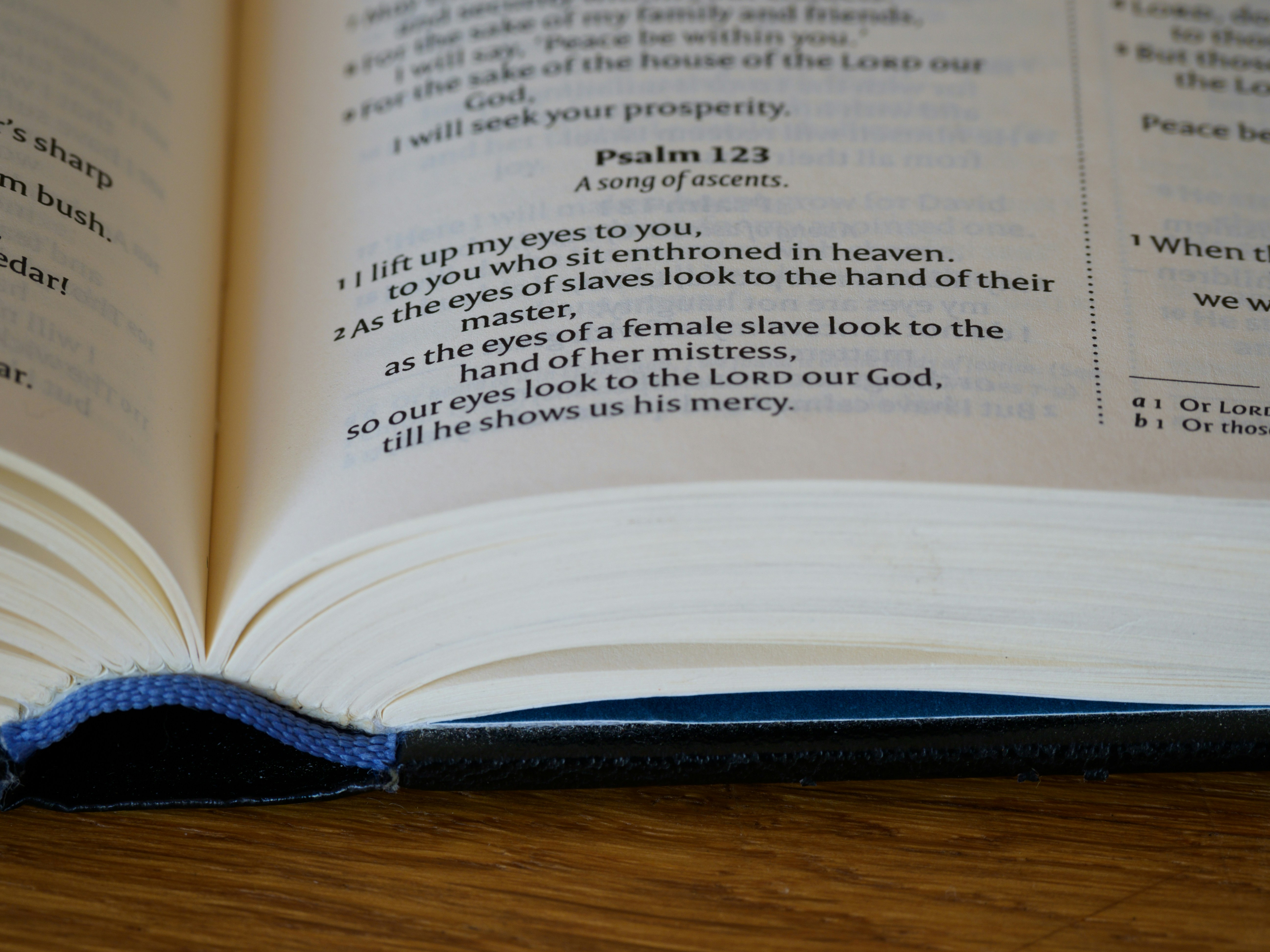 close up, bokeh, macro, blur, blurred background, close focus, bible, old testament, hebrew bible, christian, judaism, history, text, reading, bible study, devotions, text, NIV, New International Version, type, typography, canon, christianity, holy scripture, holy bible, scripture, old testament, hebrew bible, תְּהִלִּים, psalms, psalter, psalm, ketuvim, writings, tanakh, king david, 
