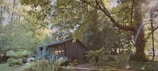 A cozy tiny home bathed in warm natural light nestled among trees.