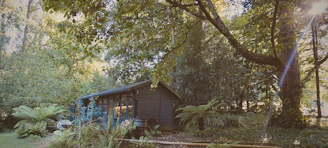 A charming wooden cabin nestled among tall trees with soft sunlight filtering through.