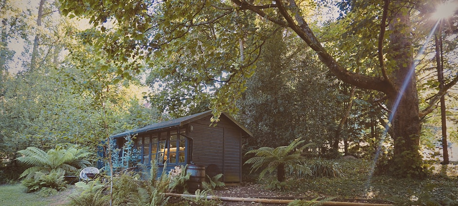 A cozy wooden bungalow surrounded by lush green trees at sunrise.