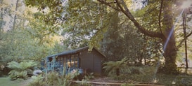 A small, wooden cabin nestled among lush greenery in a forested area. Sunlight filters through the trees, casting dappled light on the structure and surrounding plants, creating a serene and tranquil atmosphere.