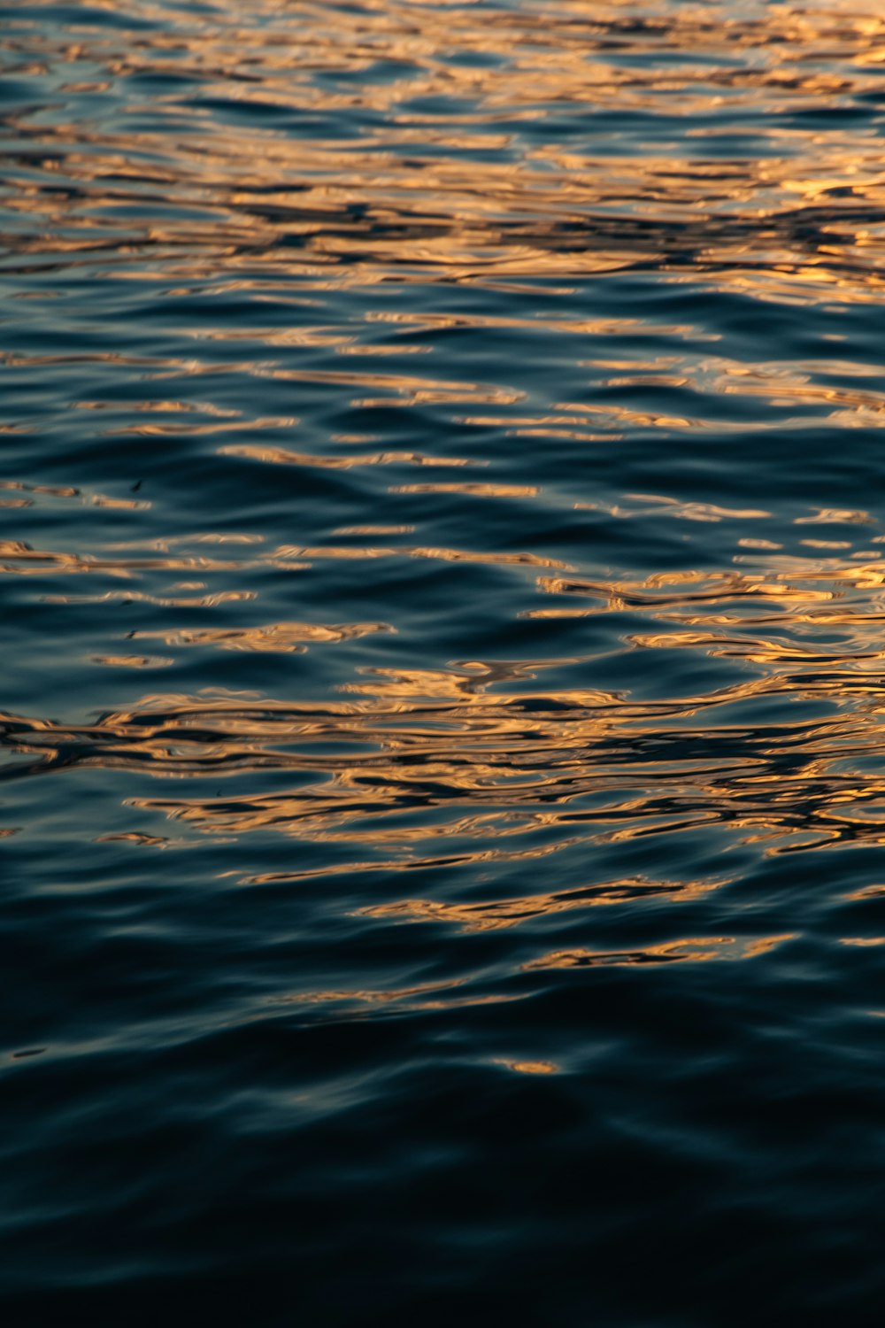 a body of water with ripples