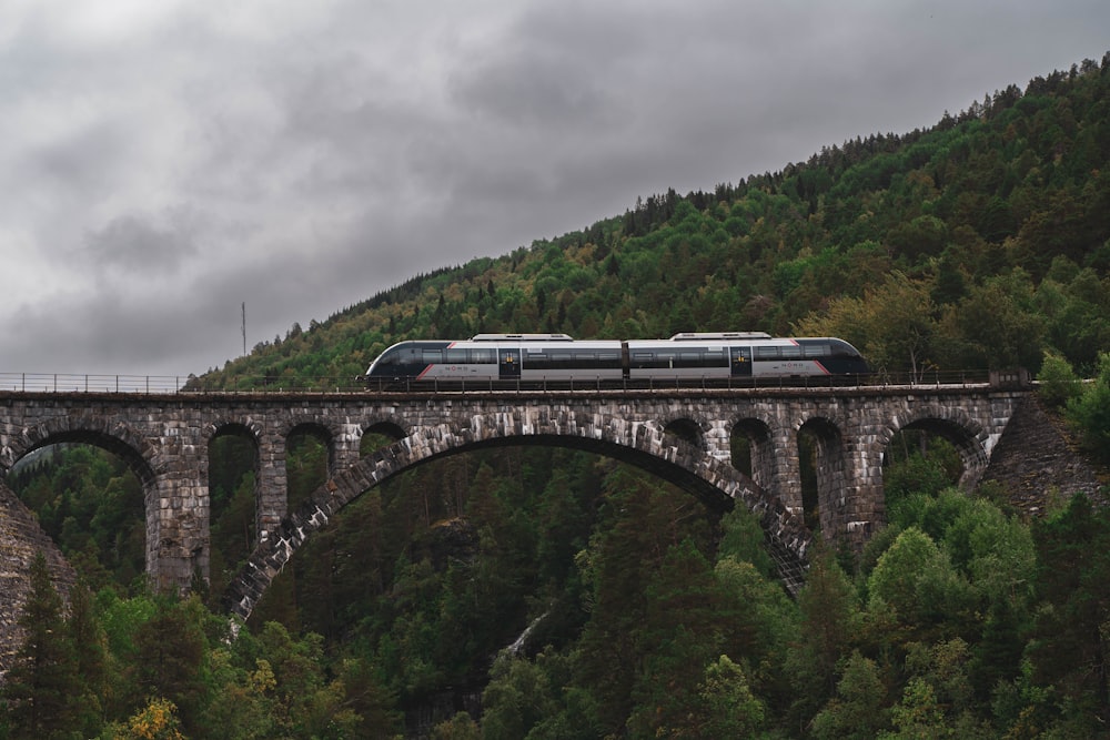 a train on a bridge