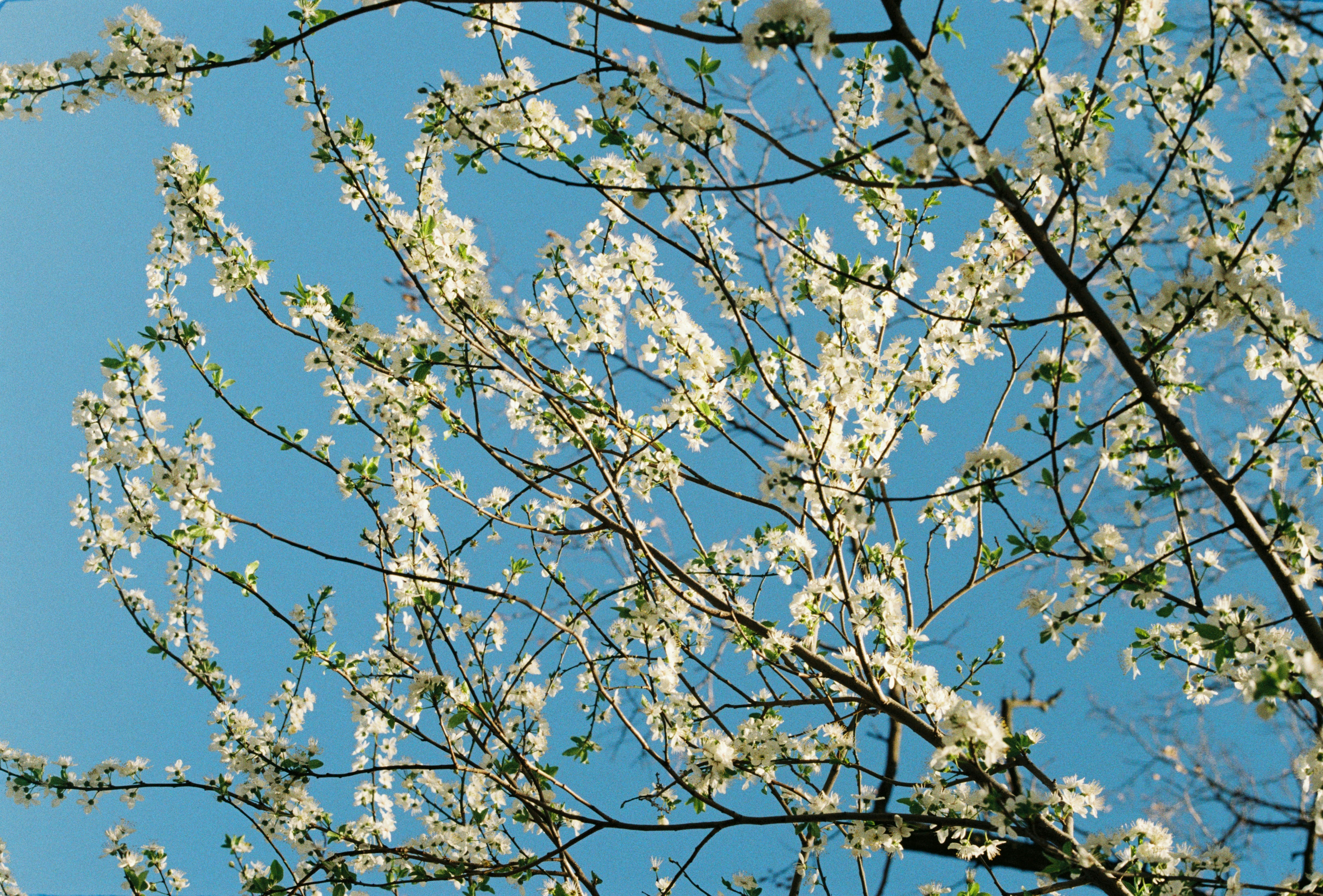 Photo by chrisvomradio