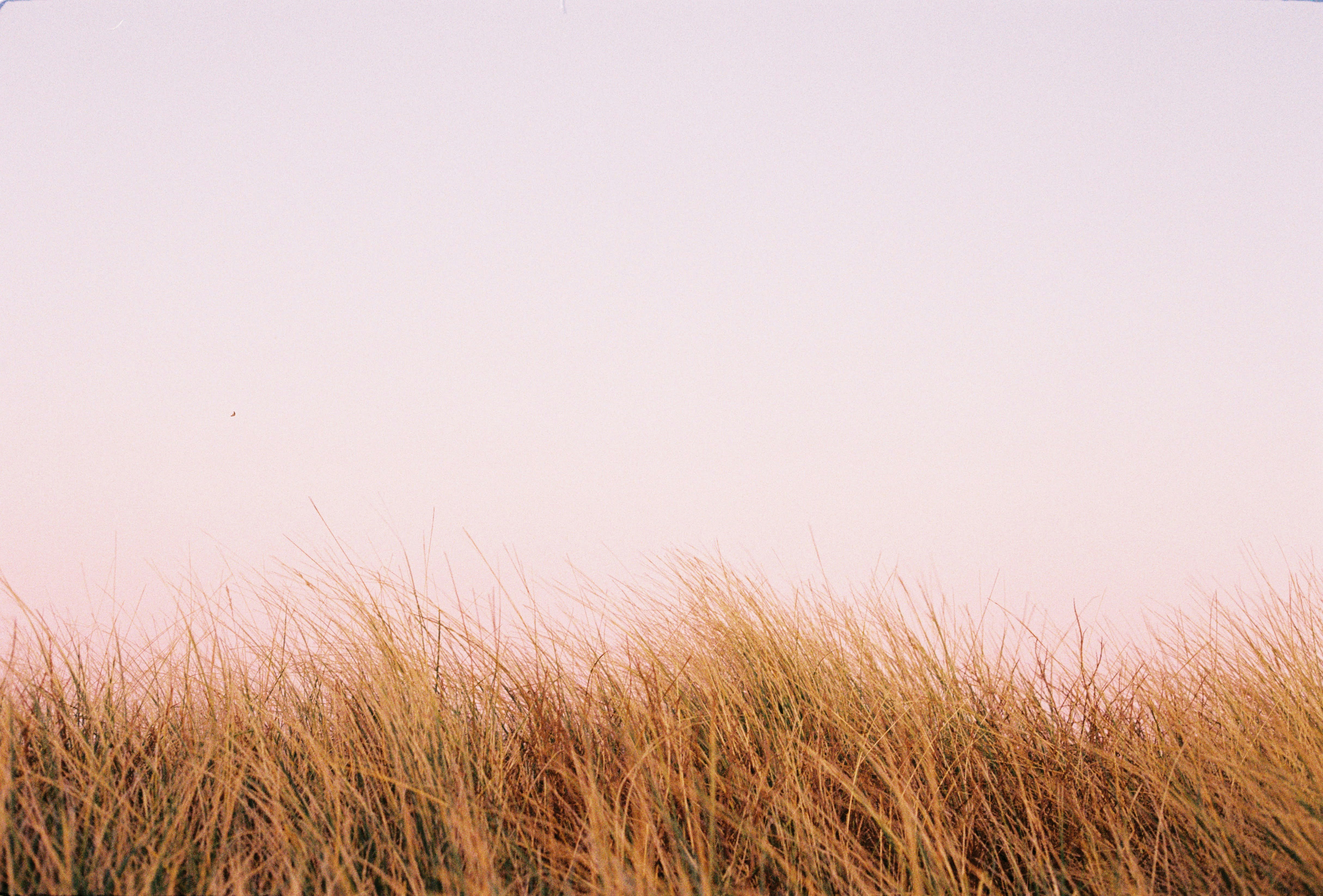 Photo by chrisvomradio