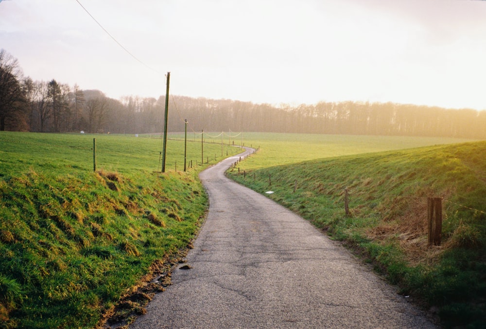 une route avec de l’herbe et des arbres sur le côté