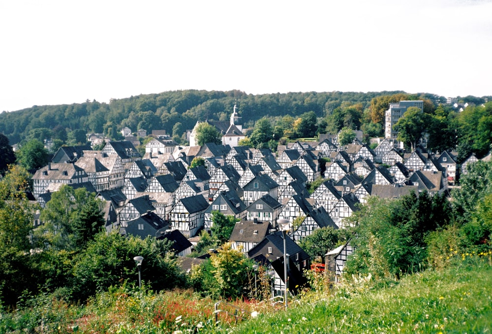 a group of houses in a wooded area