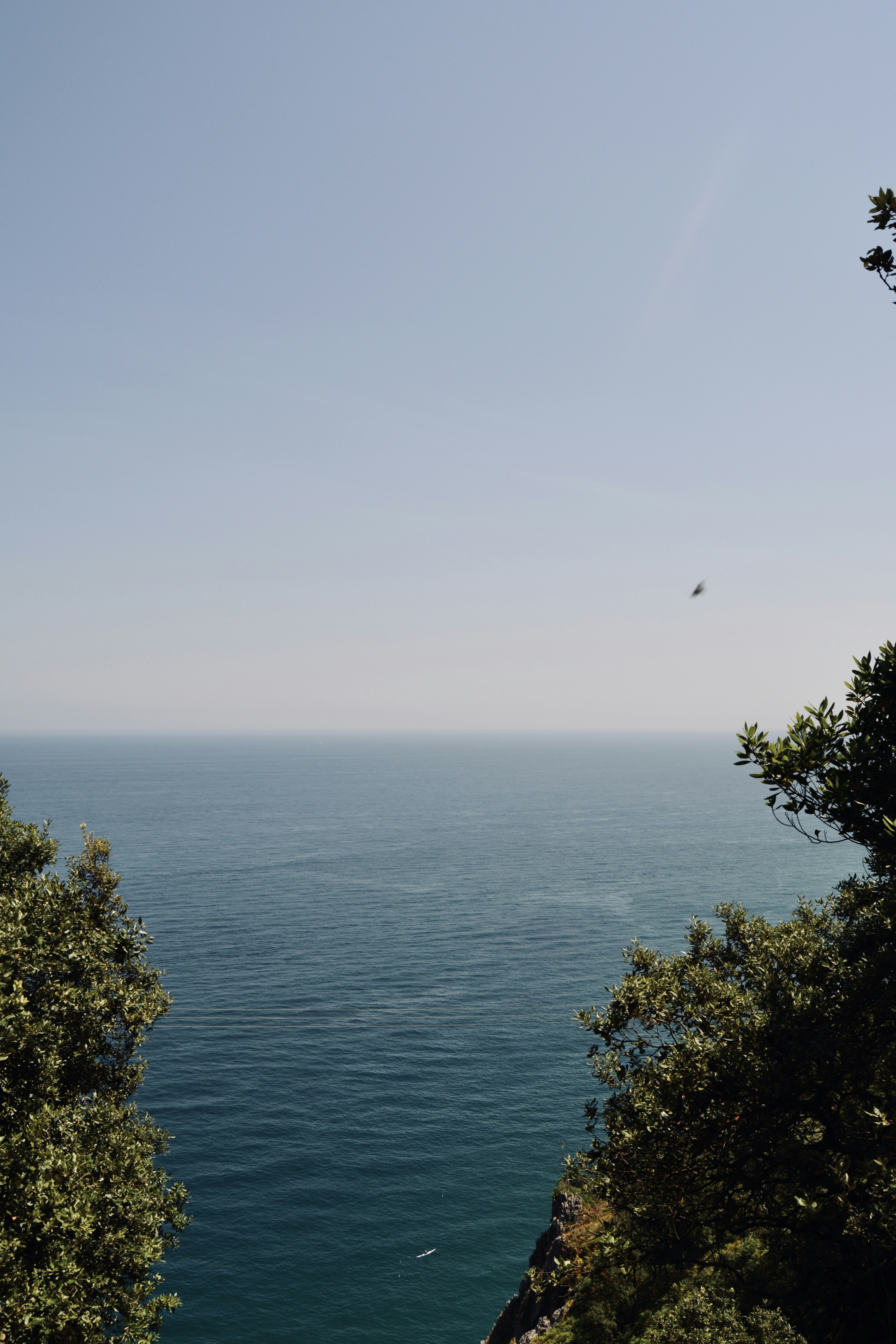 Photo by solmedoariza