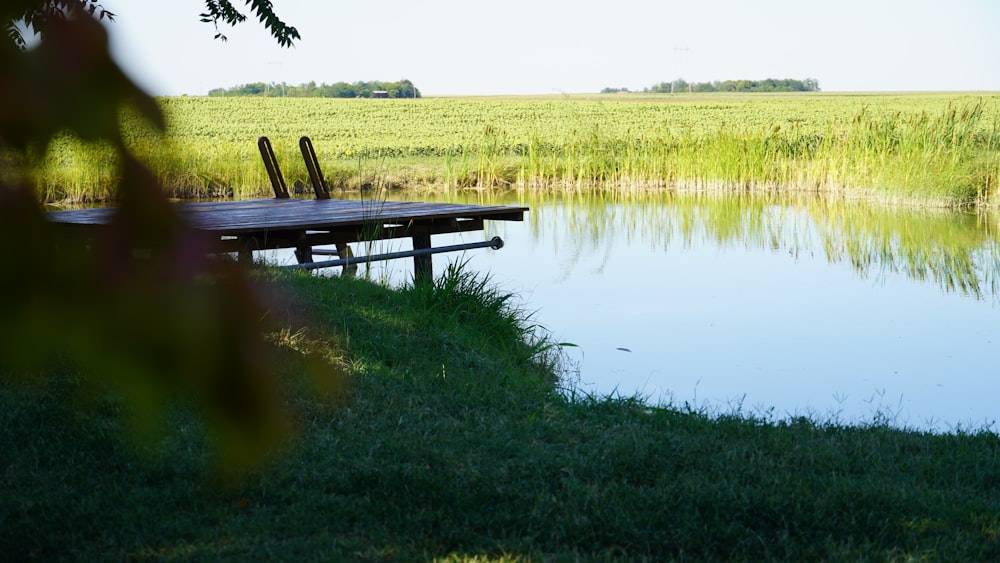a bench in a marsh