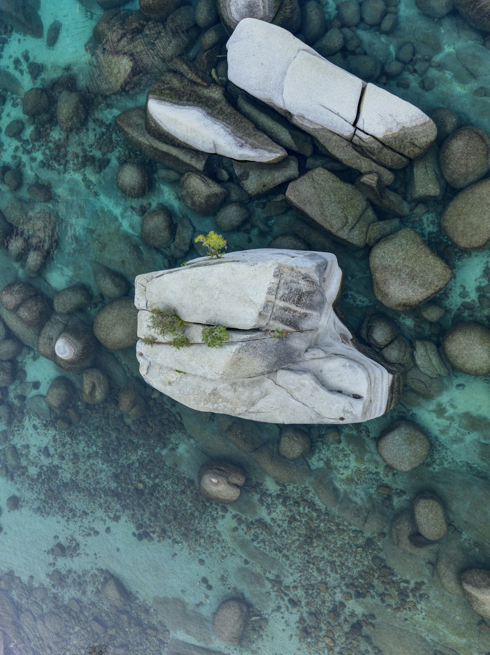 a group of rocks and a leaf on the ground