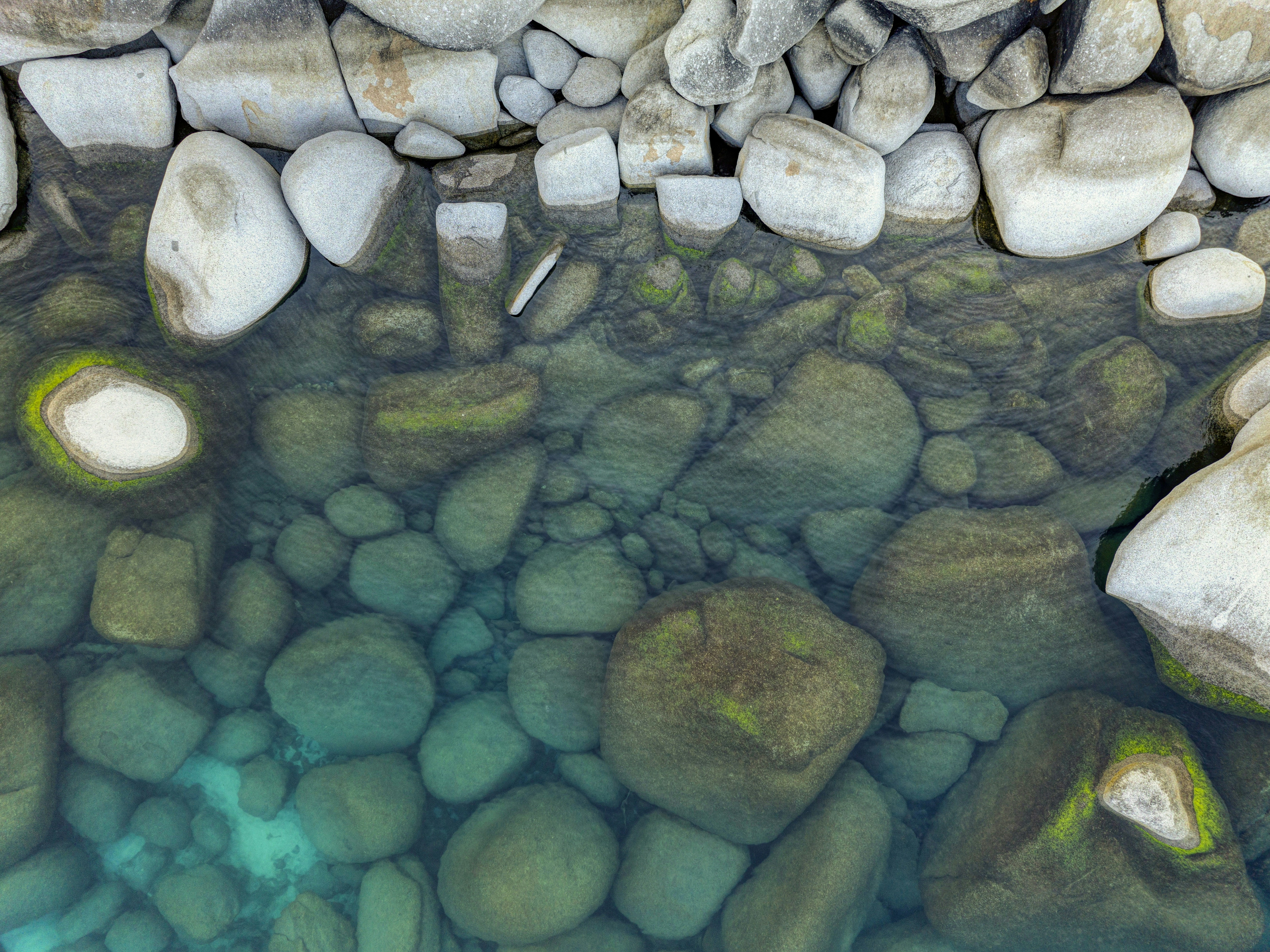 Photo by leo_visions_