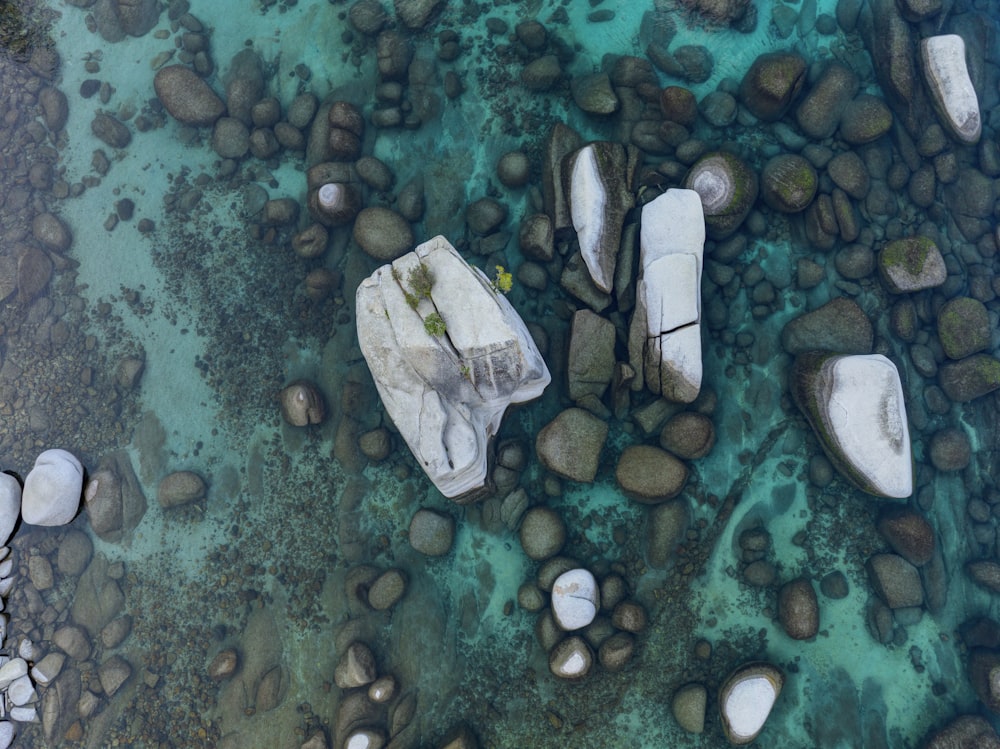 a group of rocks and a starfish on a rocky surface