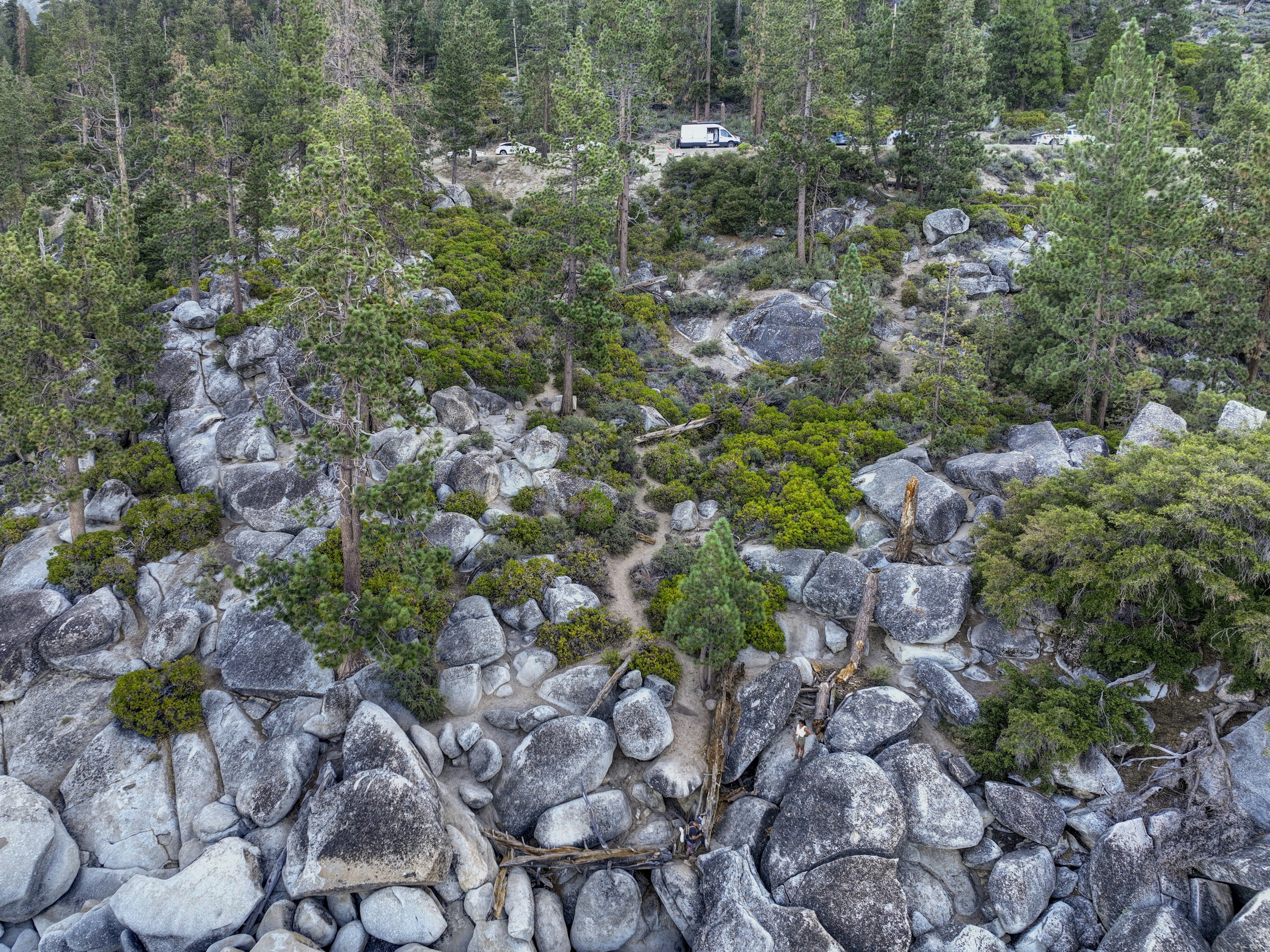 Photo by leo_visions_