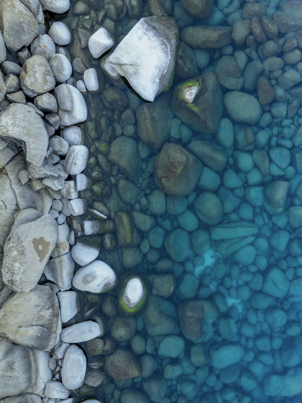 a close-up of some rocks