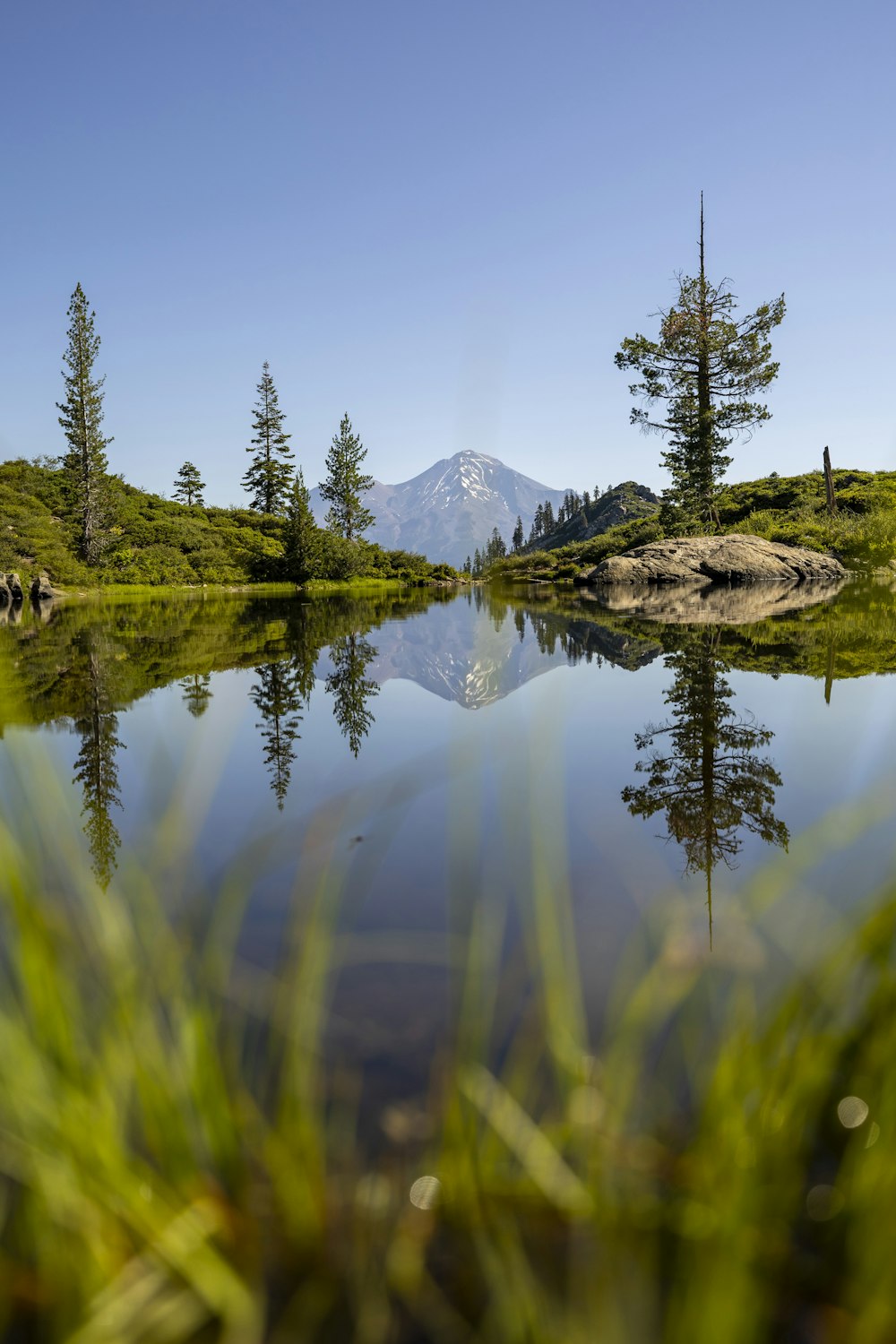 木々や山を背景にした水域