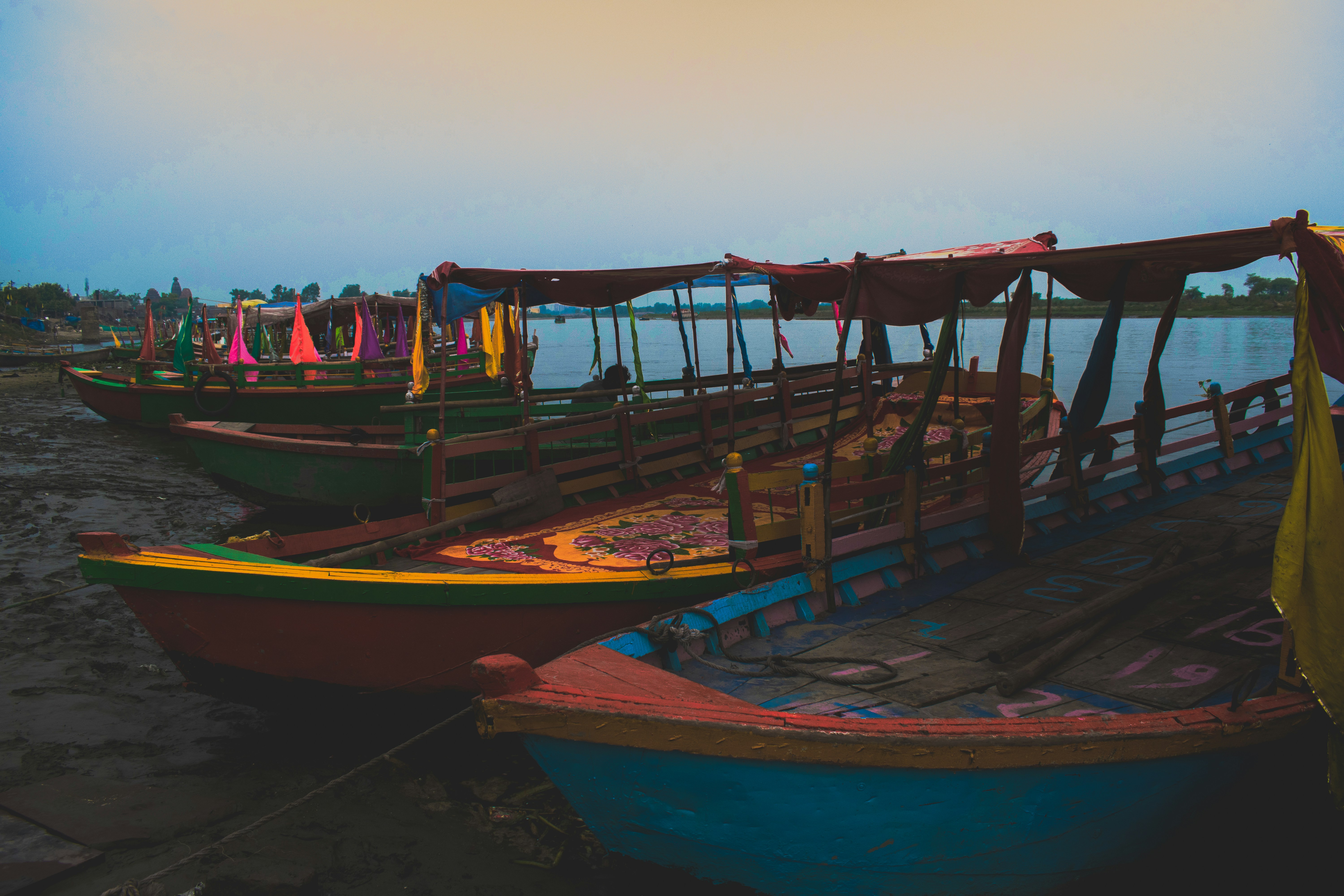 Photo by shivansh_2001