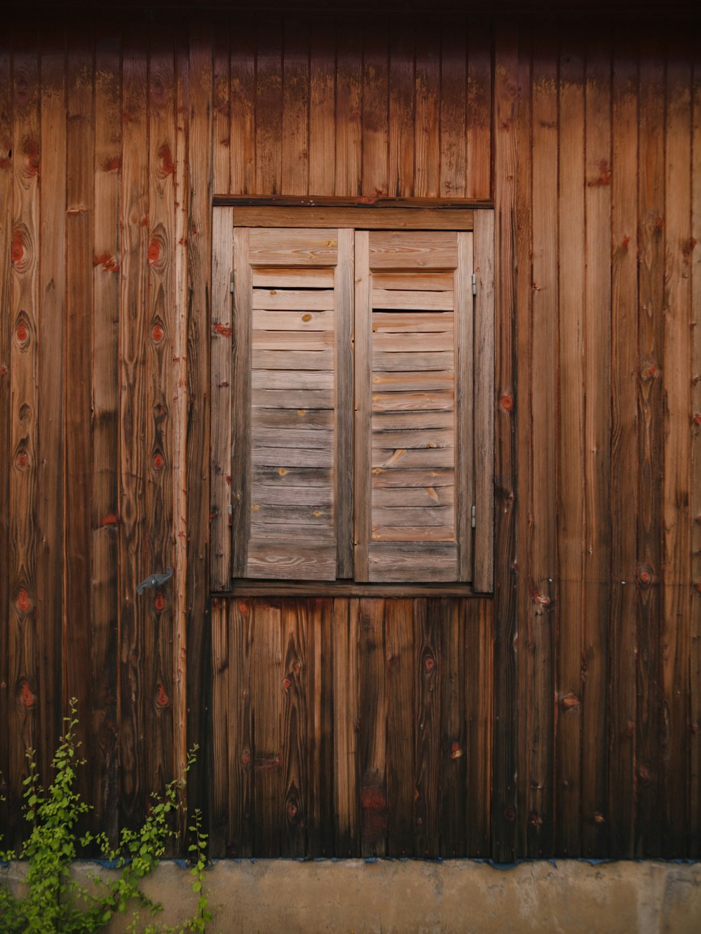 a wooden door with a window