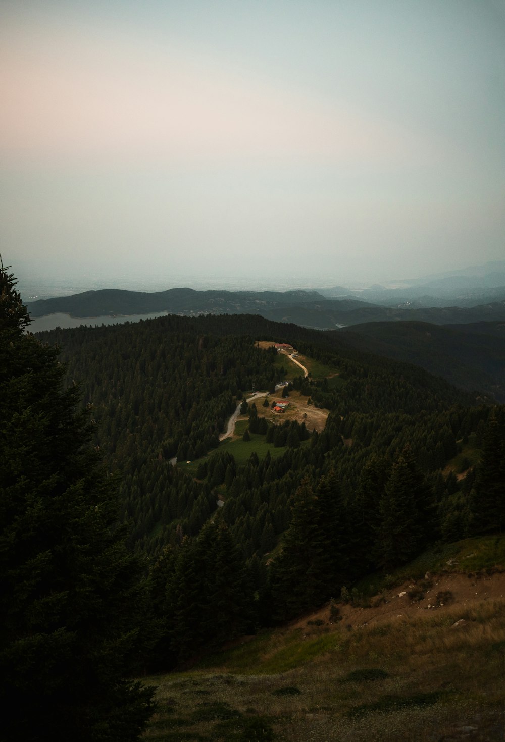 a landscape with trees and hills